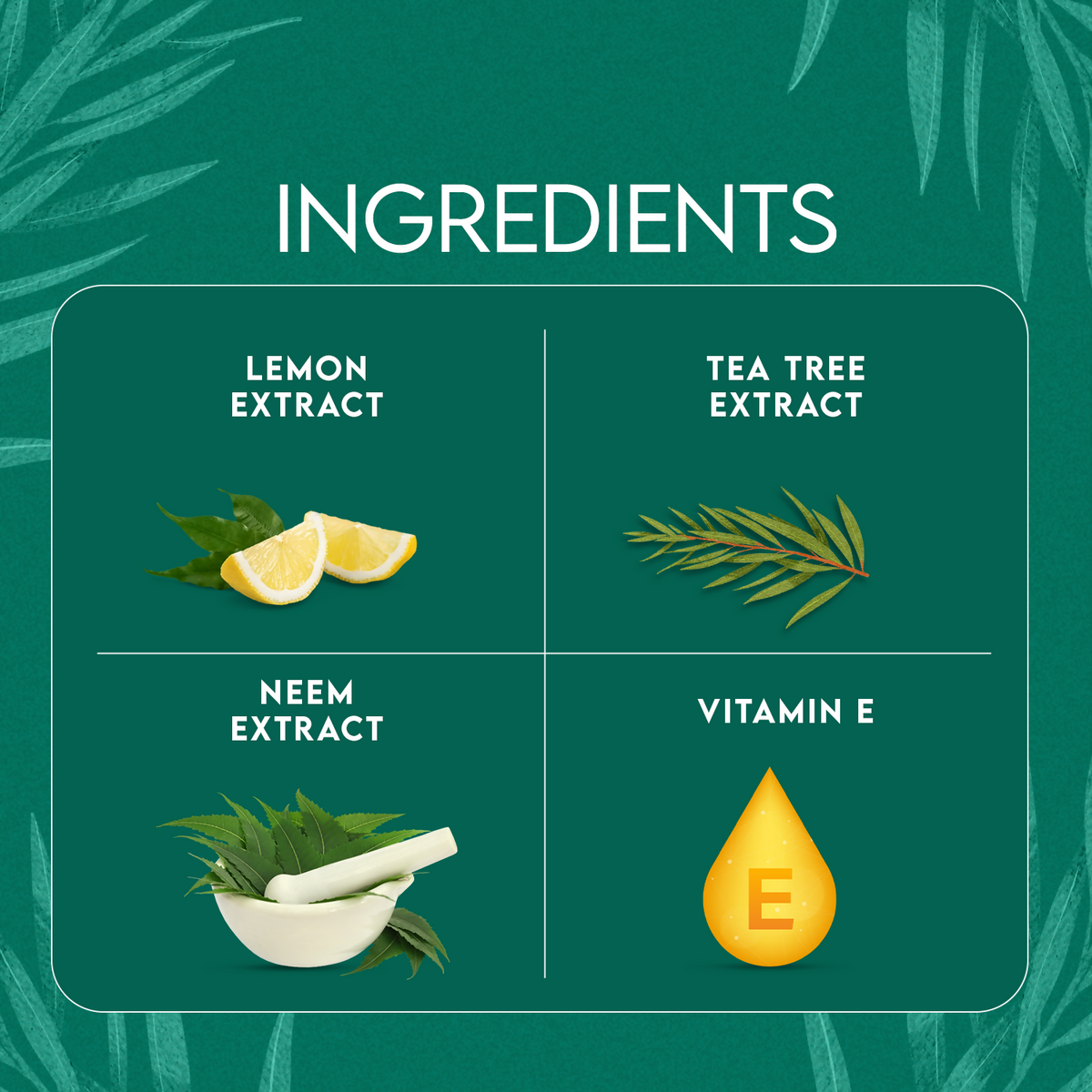 Jovees Tea Tree Oil Control Face Wash