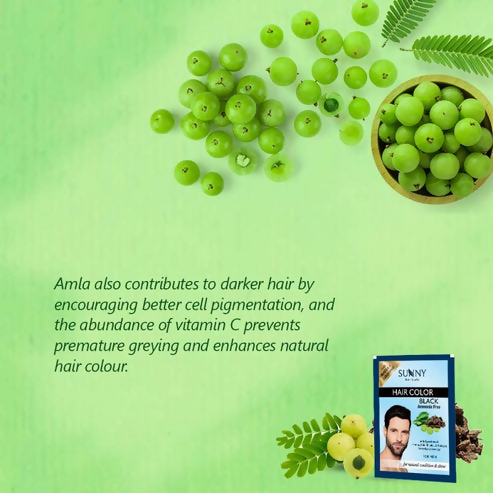 Sunny Herbals Hair Color Black - Men