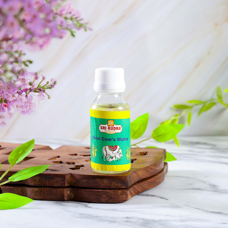 Sri Rudra Panchakvyam (EAN 8906101490370)