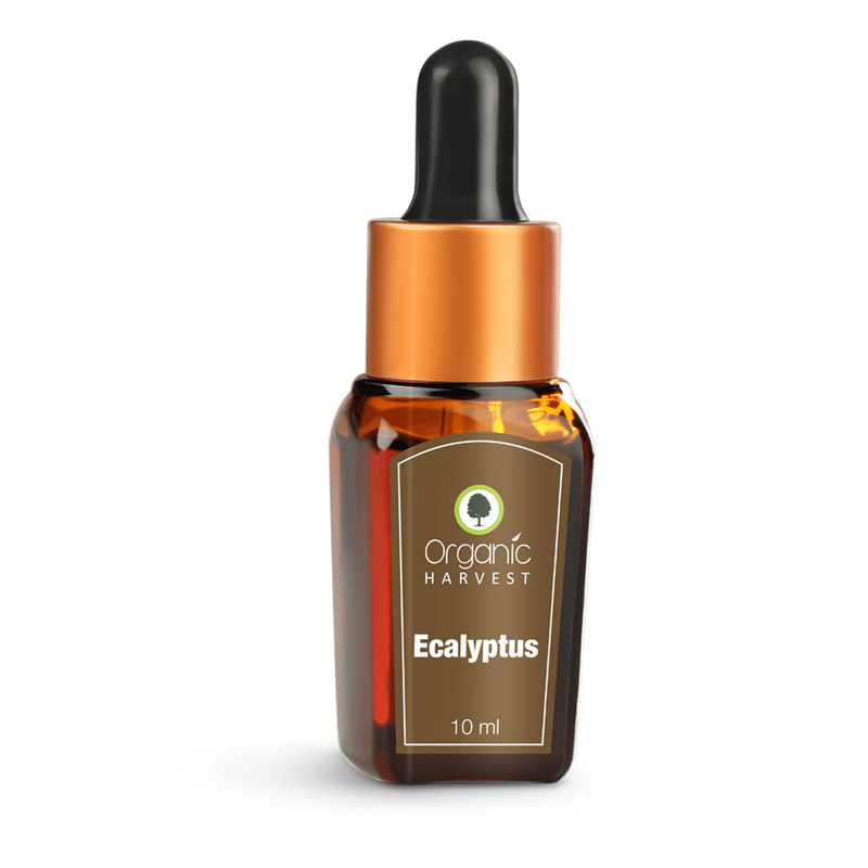 Organic Harvest Eucalyptus Essential Oil