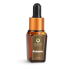 Organic Harvest Eucalyptus Essential Oil