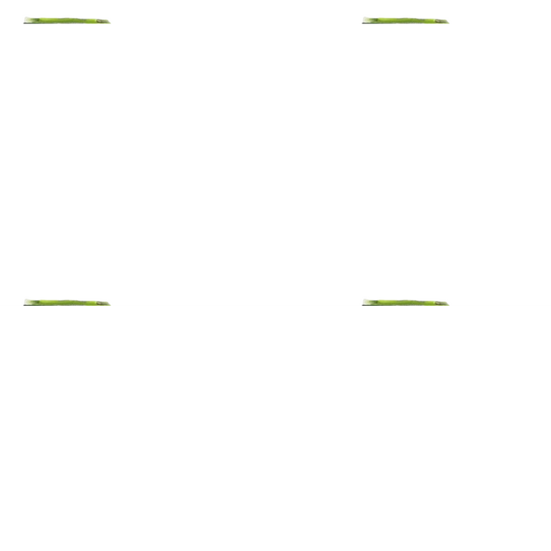 SBL Homeopathy Belladonna Dilution