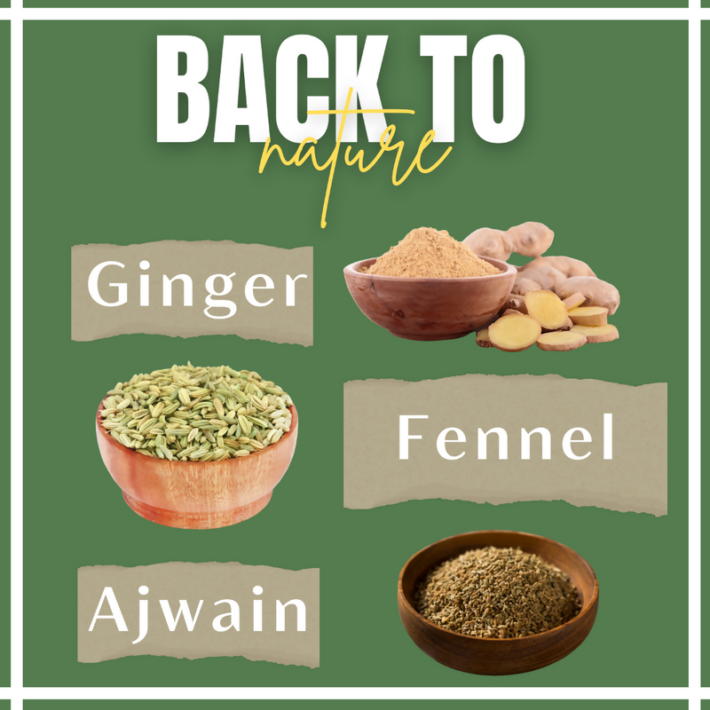 Satvi Wellness Fennel Ginger Ajwain Tea | Fennel Tea | Ginger Tea | Ajwain Tea