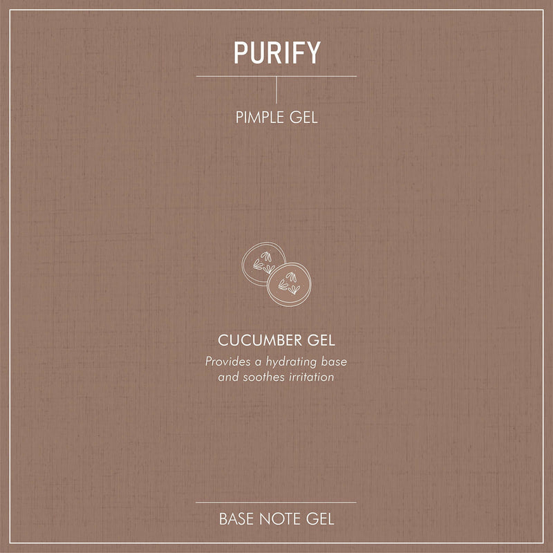 Secret Alchemist Purify Pimple Gel