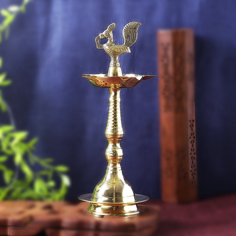 Sri Rudra Keala Fancy Murga (SR 03370