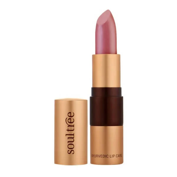 Lipstick with brown casing and pink shade on a white background, featuring 'soultree' brand.