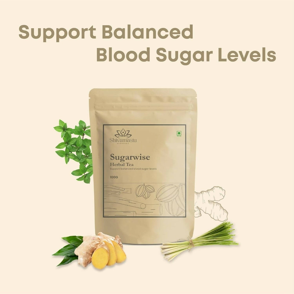 Shivamastu Ayurveda Sugarwise Herbal Tea - Limited Time Offer