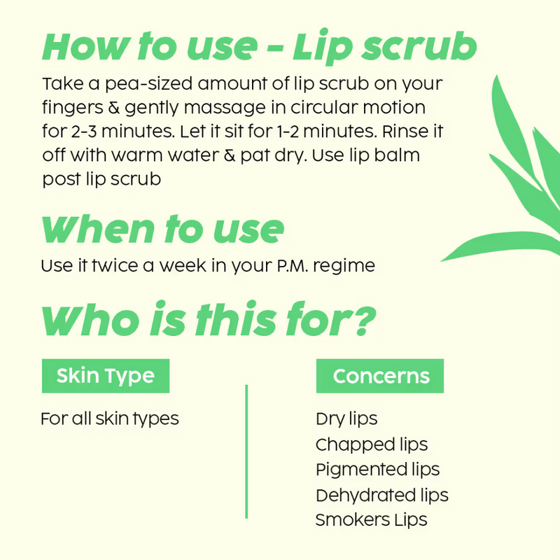 PLIX The Plant Fix Pomegranate Plump Puddin Lip Mask & Bright Lips Scrub Combo