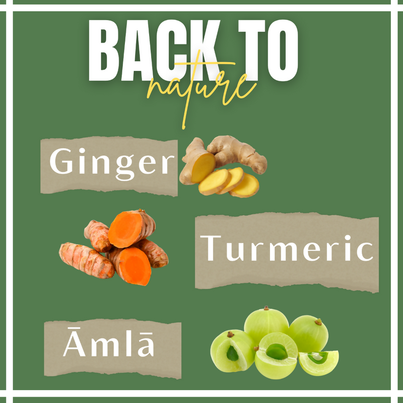 Satvi Wellness Turmeric Ginger Amla Tea| Turmeric Tea| Ginger Tea| Amla Tea