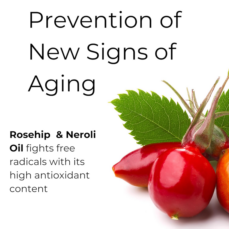 Noor Skincare Anti Aging Night Cream For Glowing Skin