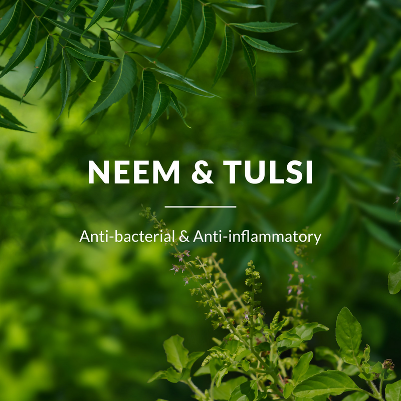 Lotus Botanicals Neem, Tulsi & Salicylic Acid Gentle Foaming Face Wash