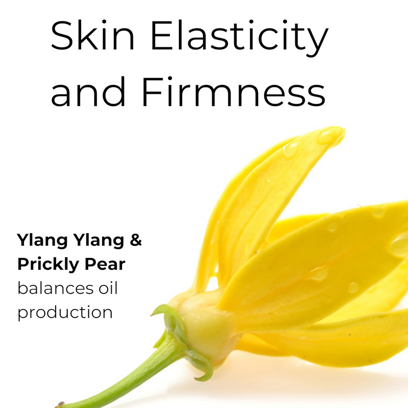 Noor Skincare Anti Aging Night Cream For Glowing Skin