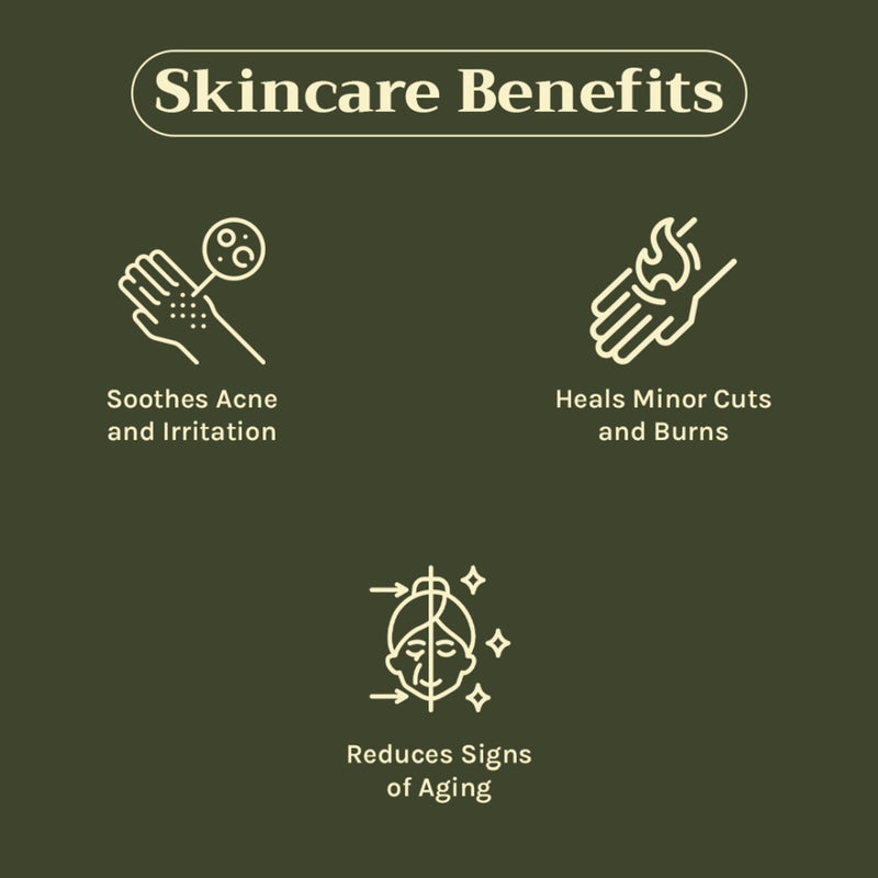 Tattvalogy Bulgarian Lavender Oil -Rich Floral Aroma, Anti -Aging, Reduces Head Lice & Promotes Calm