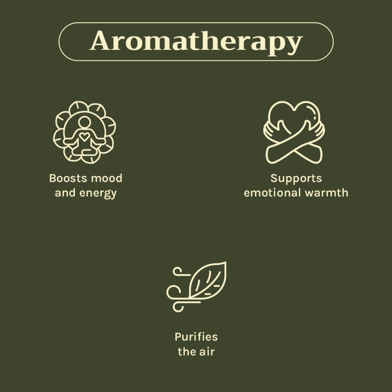 Tattvalogy Cinnamon Bark Essential Oil - Anti - Acne, Reduces Hair Fall, Has a nice spicy aroma