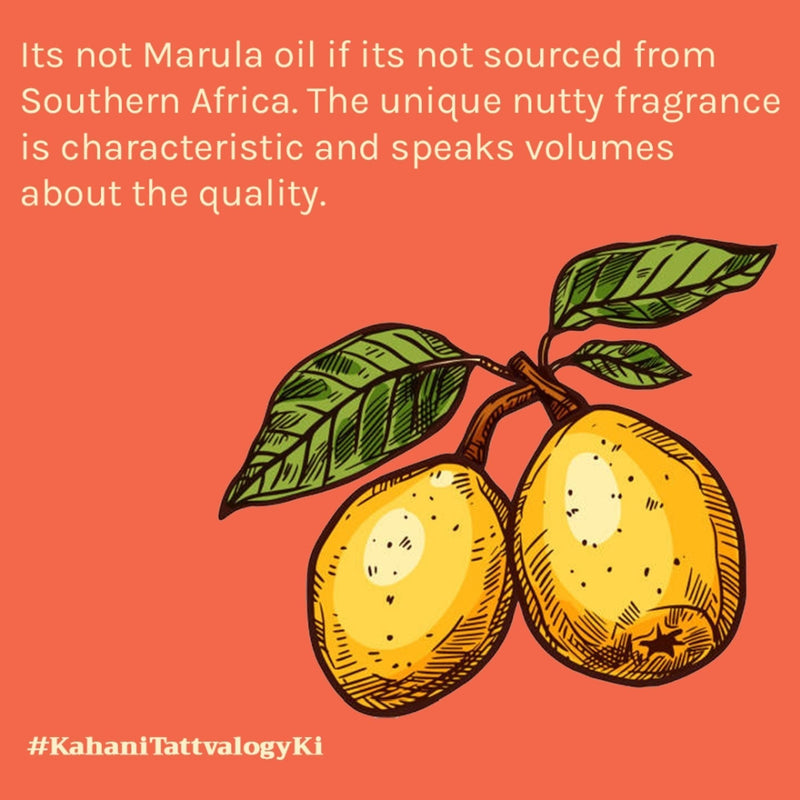 Tattvalogy African Marula Oil - Pure, Hydrates, Reduces Wrinkles & Boosts Radiance for Glowing Skin