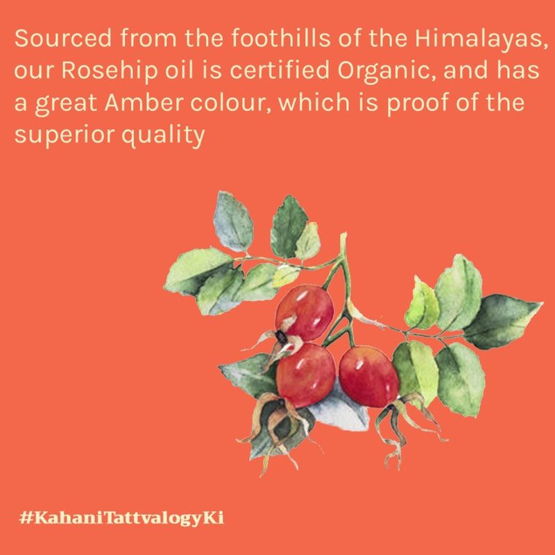 Tattvalogy Raw Rosehip Oil - Vitamin-C Rich, Boosts Collagen, Reduces Hyperpigmentation for Glow