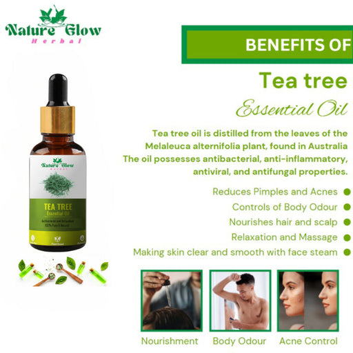 Nature Glow Herbal Tea Tree & Eucallypatus & Basil Essential Oil Combo