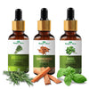 Nature Glow Herbal Rosemary & Sandalwood & Basil Essential Oil Combo