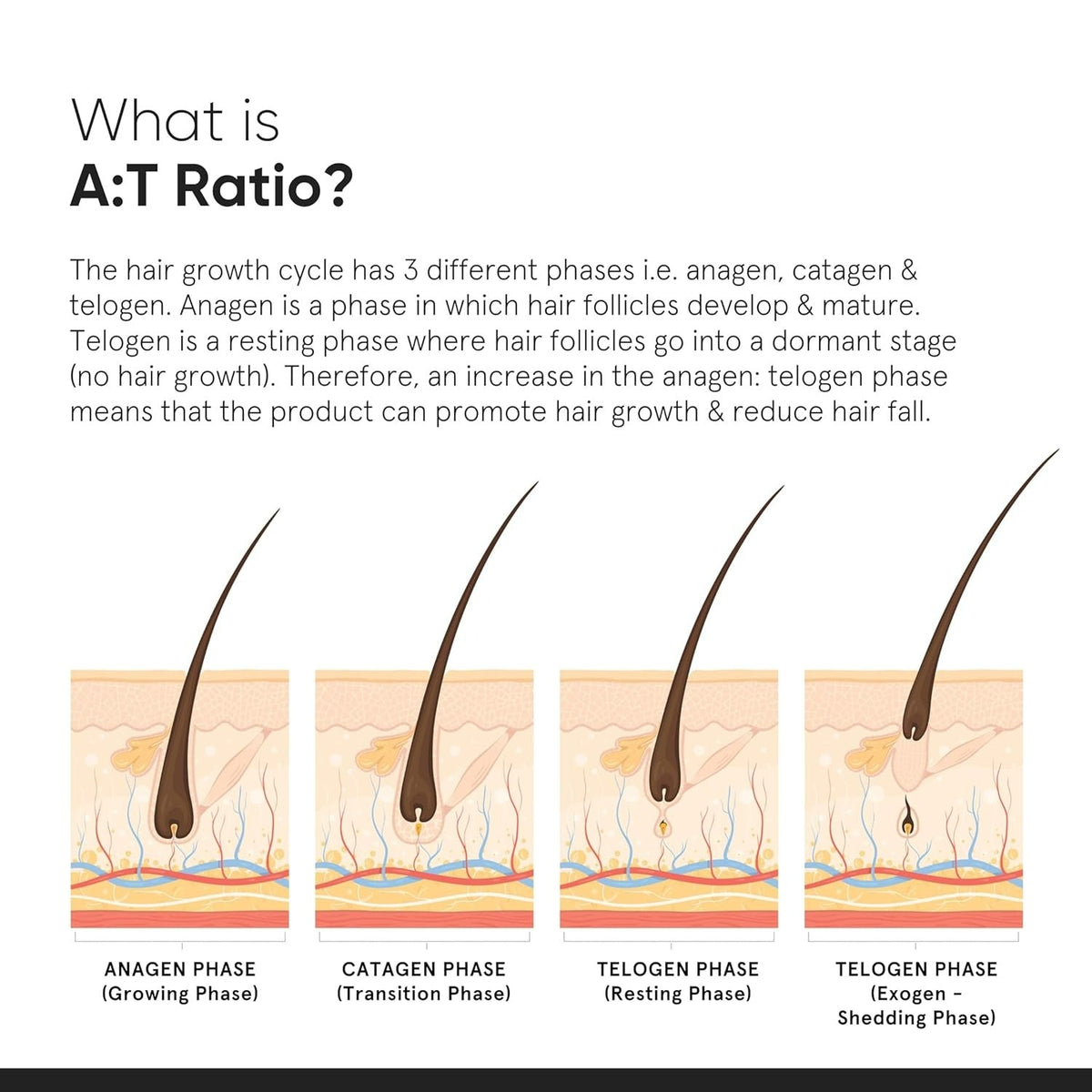 Minimalist Hair Growth Actives 18%