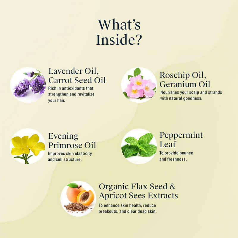 Arata Natural Anti-Aging Face Kit