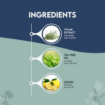 Jovees Thyme & Tea Tree Anti Dandruff Shampoo For All Hair Types