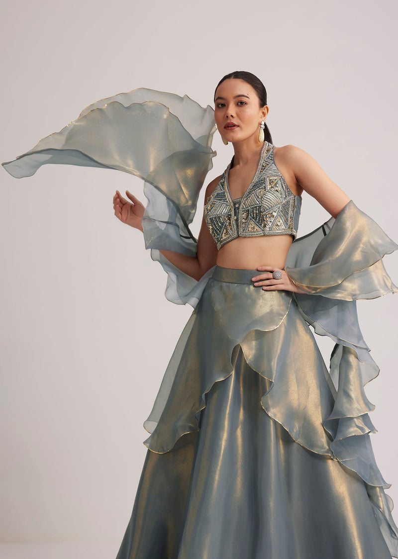 Grey Organza Embellished Lehenga Set With Dupatta