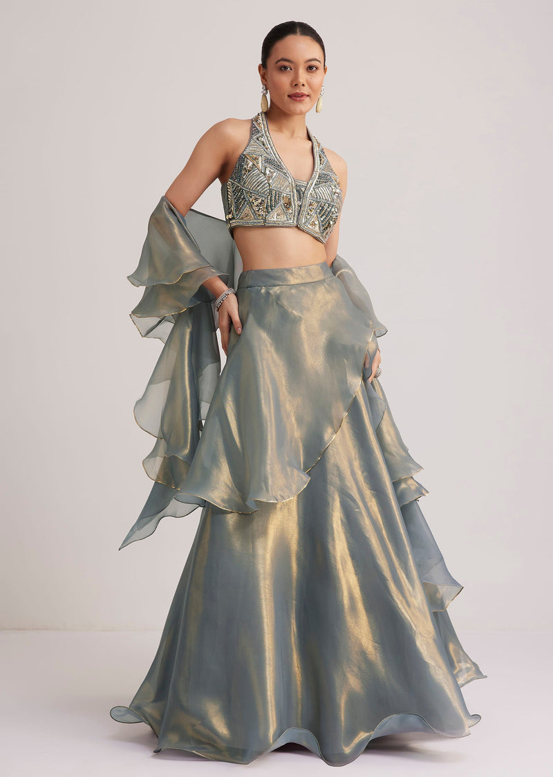 Grey Organza Embellished Lehenga Set With Dupatta