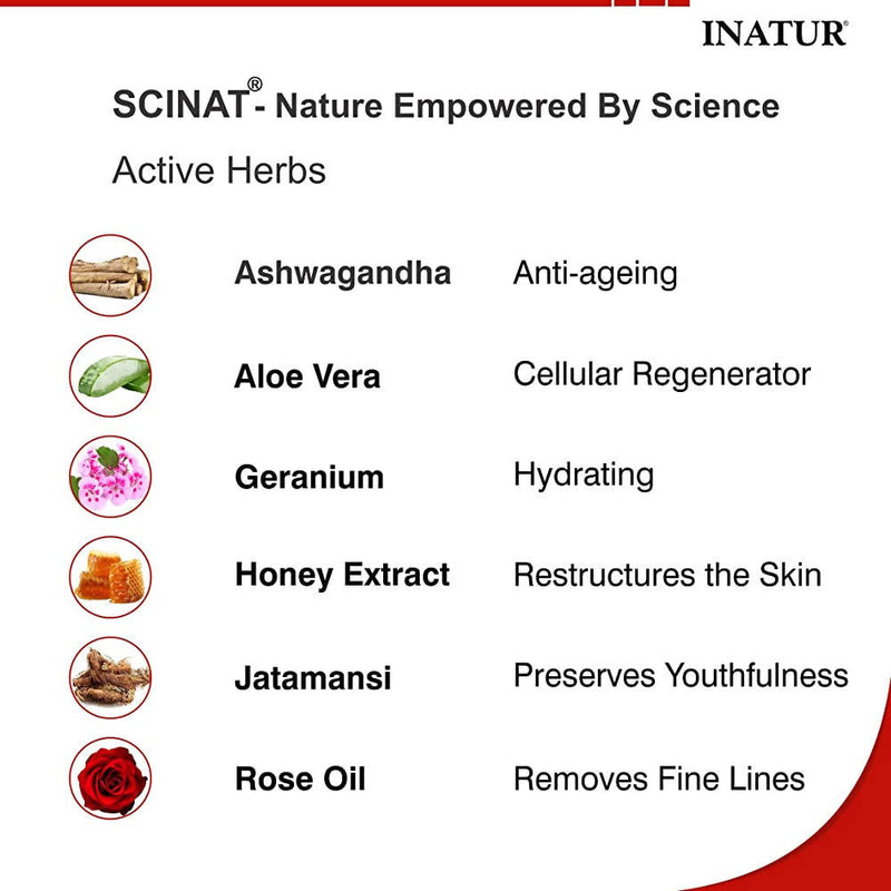 Inatur Silky Skin Face Wash