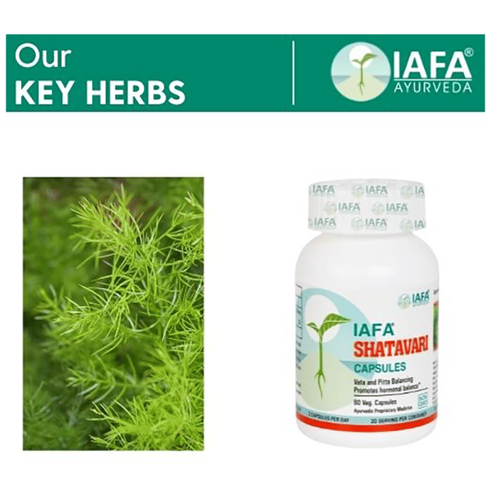 Iafa Ayuveda Shatavari Veg Capsules