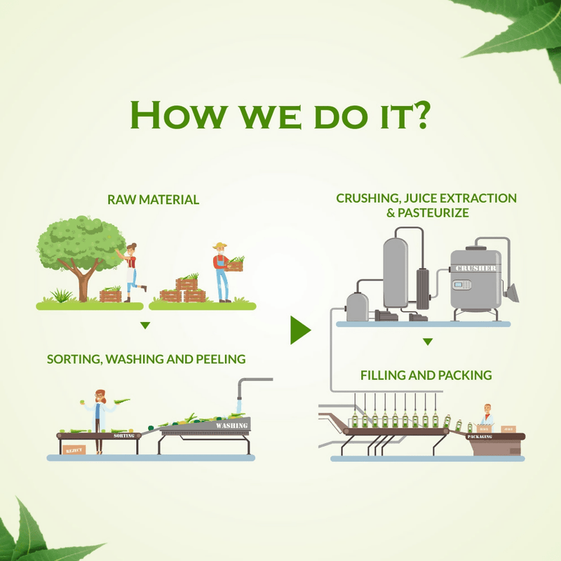 Axiom Pure Tulsi Giloy Stem Juice