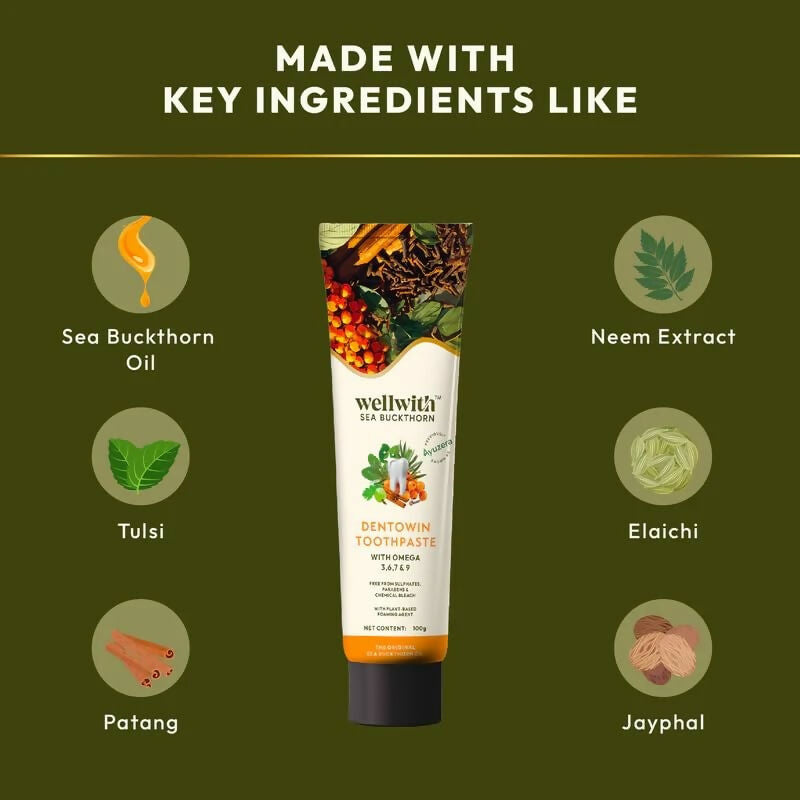 Wellwith DentoWin Herbal Gum Care Toothpaste