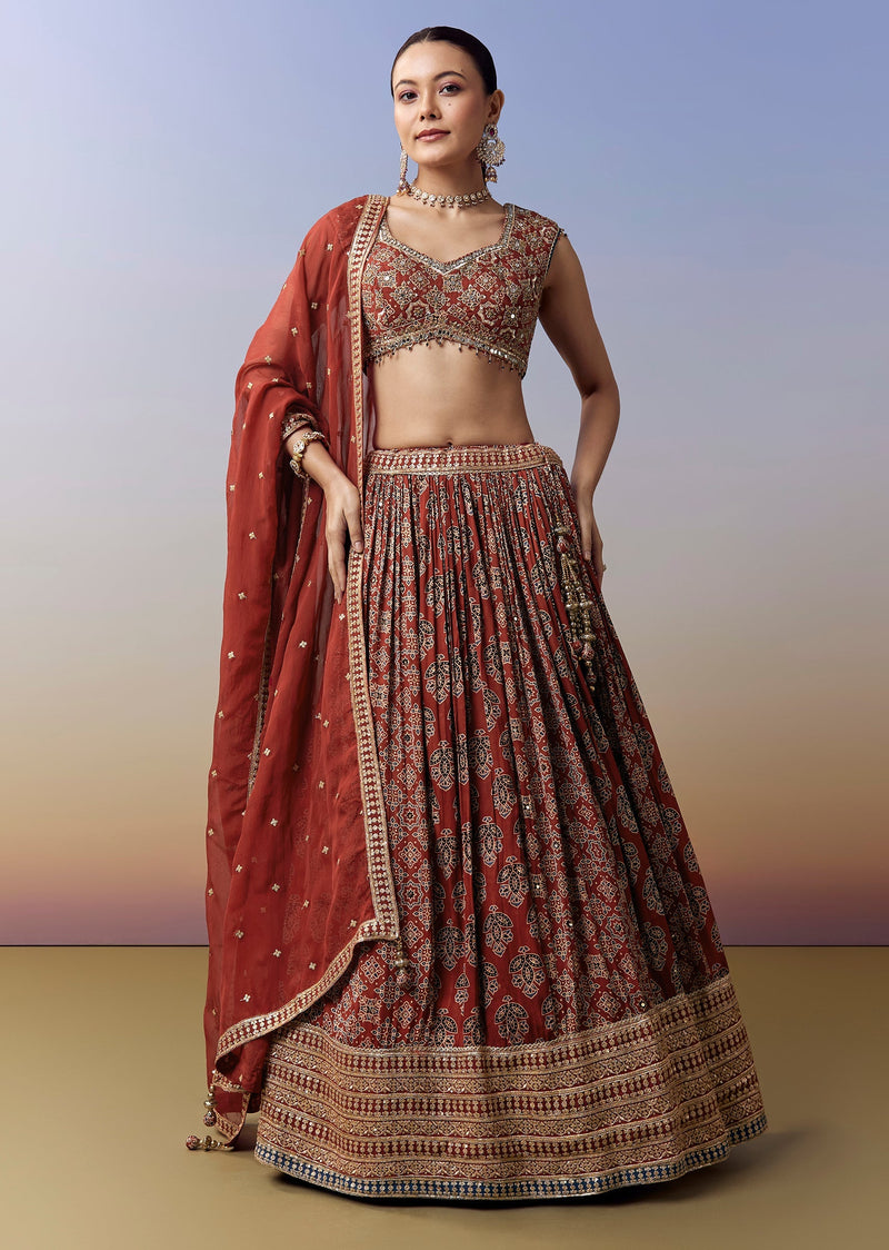 Maroon Lehenga With Ajrakh Print And Mirror Cut Dana Sequins Work