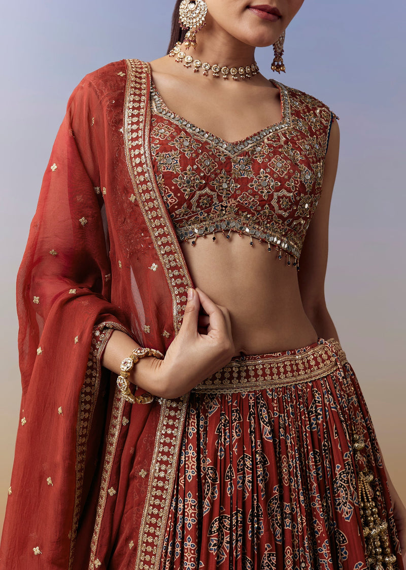 Maroon Lehenga With Ajrakh Print And Mirror Cut Dana Sequins Work