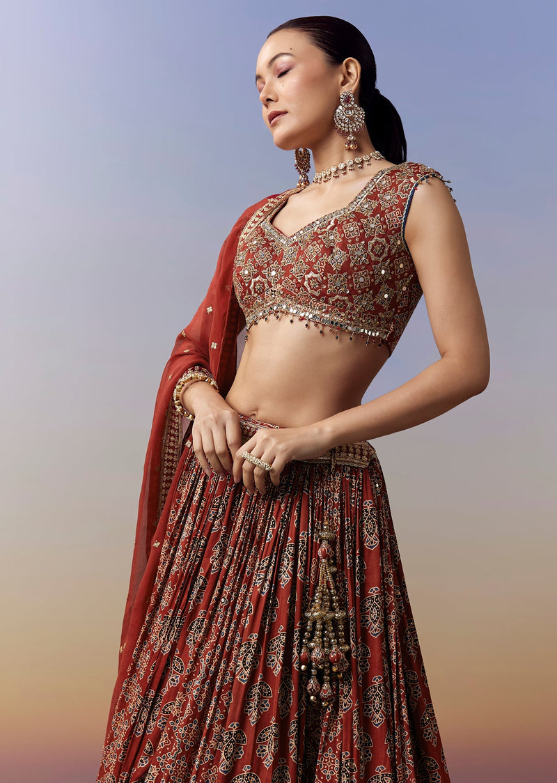 Maroon Lehenga With Ajrakh Print And Mirror Cut Dana Sequins Work