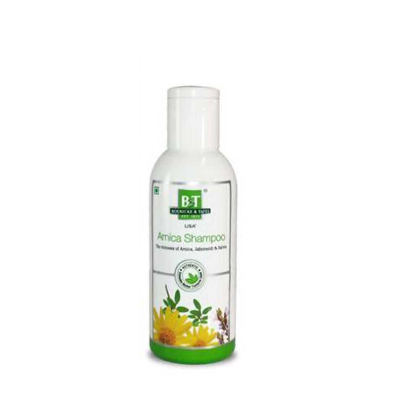 Boericke & Tafel Arnica Shampoo