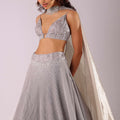 Oyster Grey Embroidered Lehenga Set In Knit With Choker Dupatta