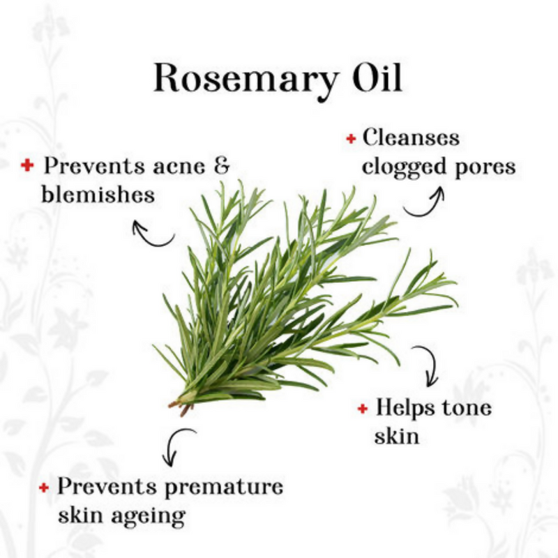 Alps Goodness Rosemary Wrinkle Reducer Facial Kit