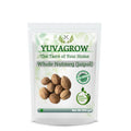 Yuvagrow Nutmeg Whole