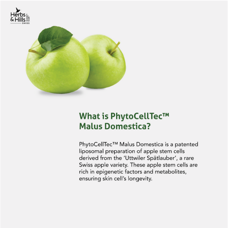 Herbs & Hills Foaming Face Wash (Swiss Range)