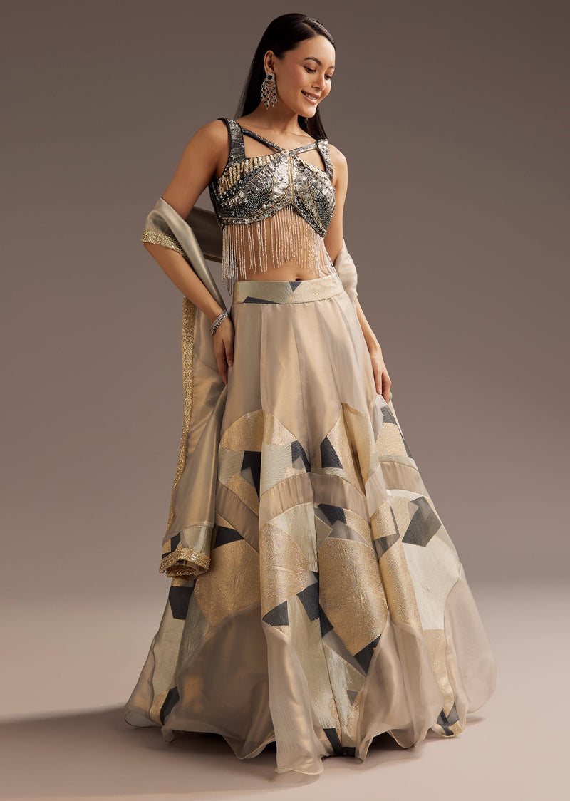 Grey Lurex Glitter Lehenga With Organza Dupatta