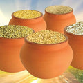 Siridhanyalu Millets - Siridhanya 5 Types Of Unpolished Organic Millets Rice Little, Kodo, Browntop Barnyard & Foxtail