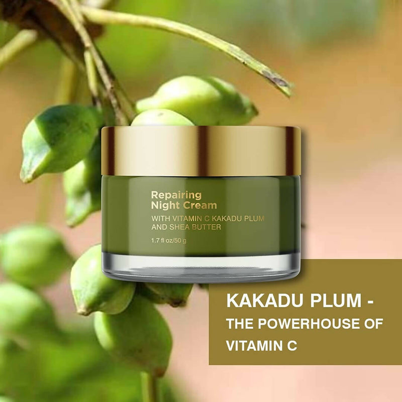 Coccoon Repairing Night Cream With Vitamin C Kakadu Plum and Shea Butter
