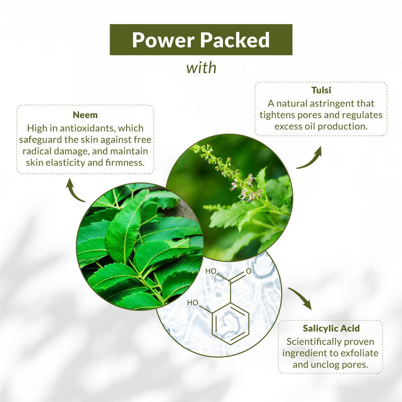 Lotus Botanicals Neem, Tulsi & Salicylic Acid Gentle Foaming Face Wash