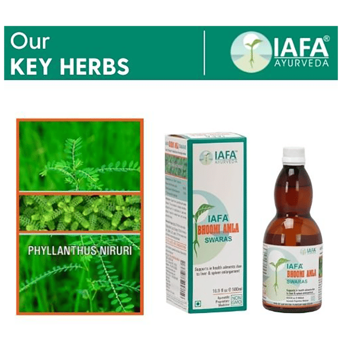 Iafa Ayuveda Bhoomi Amla Swaras
