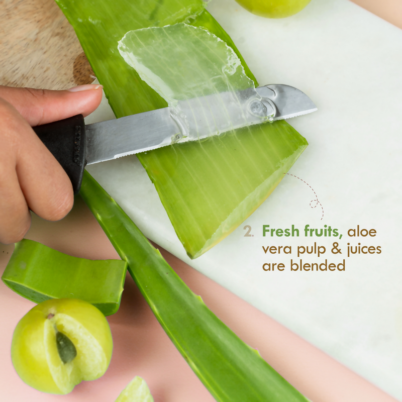 Nat Habit Cocoa Mogra Night Restore Face Cream