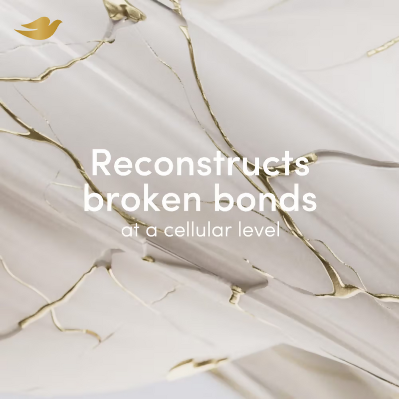 Dove Peptide Bond Strength Shampoo