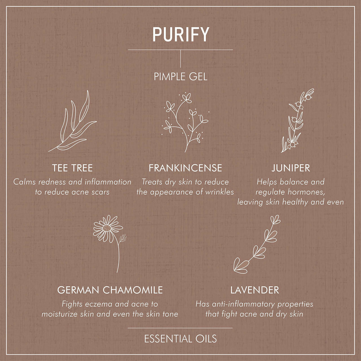 Secret Alchemist Purify Pimple Gel