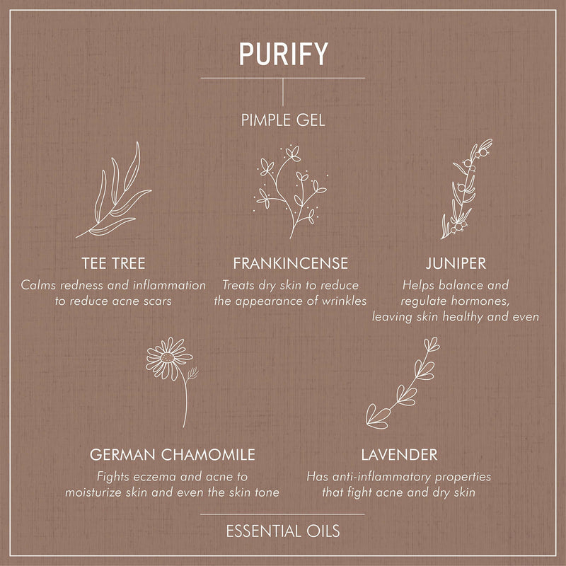 Secret Alchemist Purify Pimple Gel