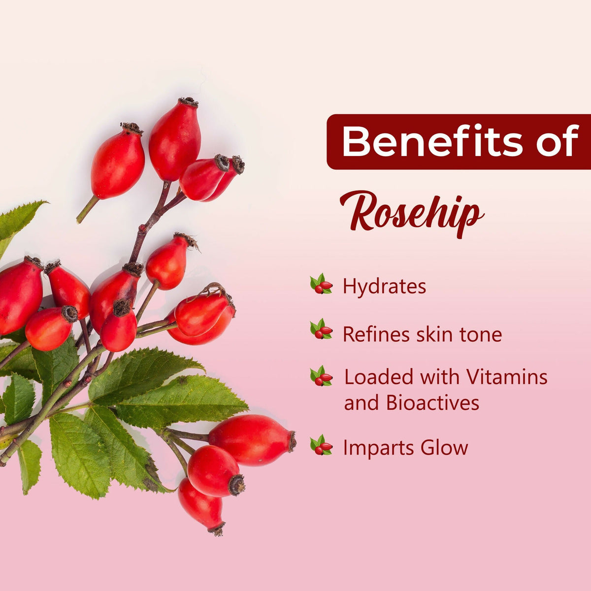 Good Vibes Rosehip Hydrating Glow Night Cream - Nourshing, Skin renewing, Sleep treatment